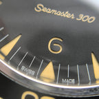 Omega Seahorse Series 41 234.30.41.21.01.001