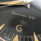 Omega Seahorse Series 41 234.30.41.21.01.001