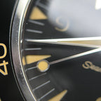 Omega Seahorse Series 41 234.30.41.21.01.001