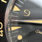 Omega Seahorse Series 41 234.30.41.21.01.001