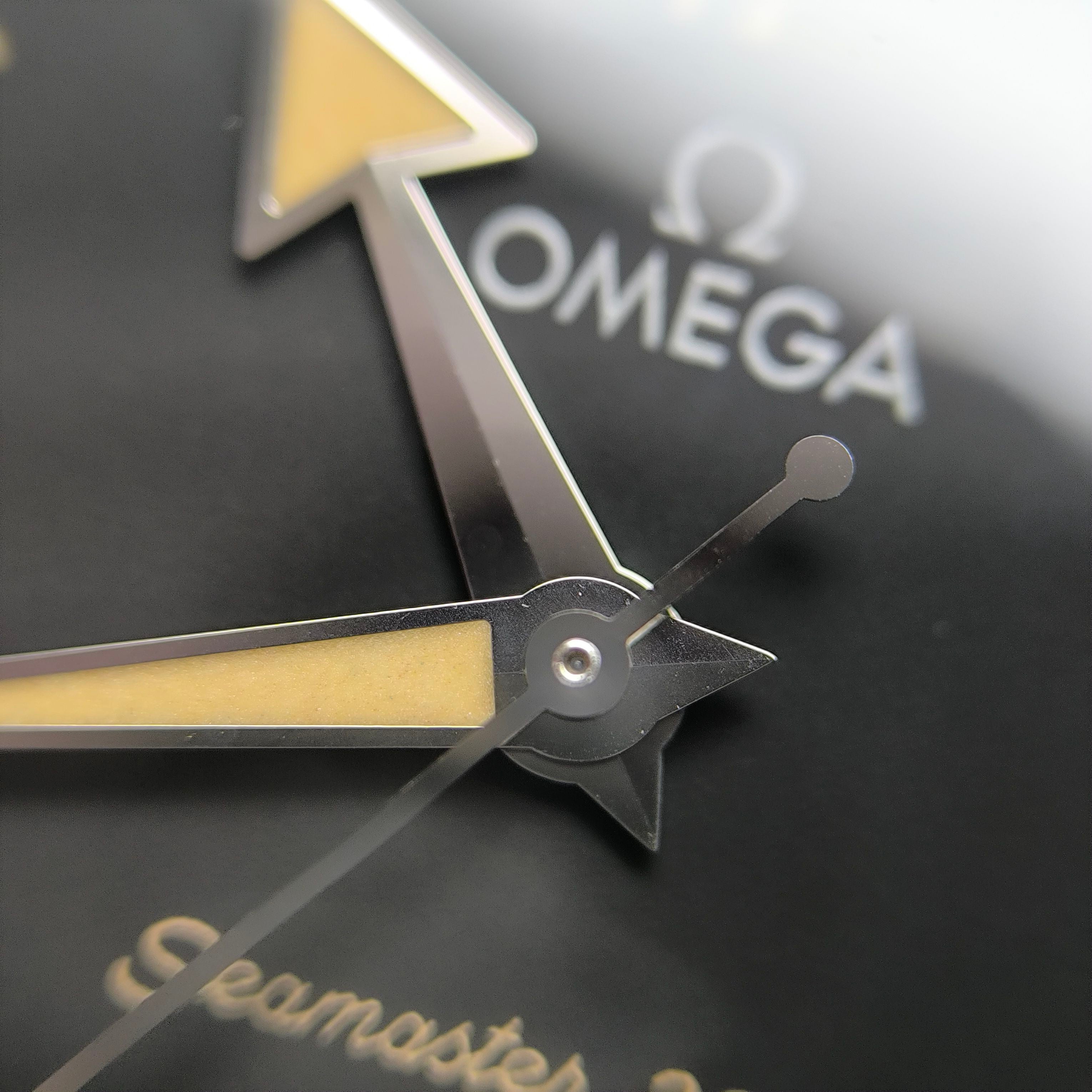 Omega Seahorse Series 41 234.30.41.21.01.001