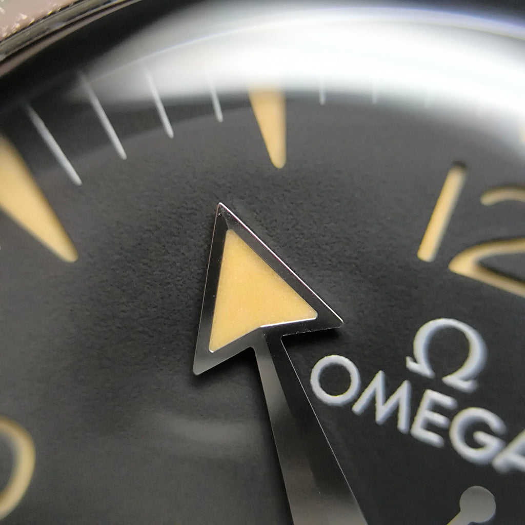 Omega Seahorse Series 41 234.30.41.21.01.001
