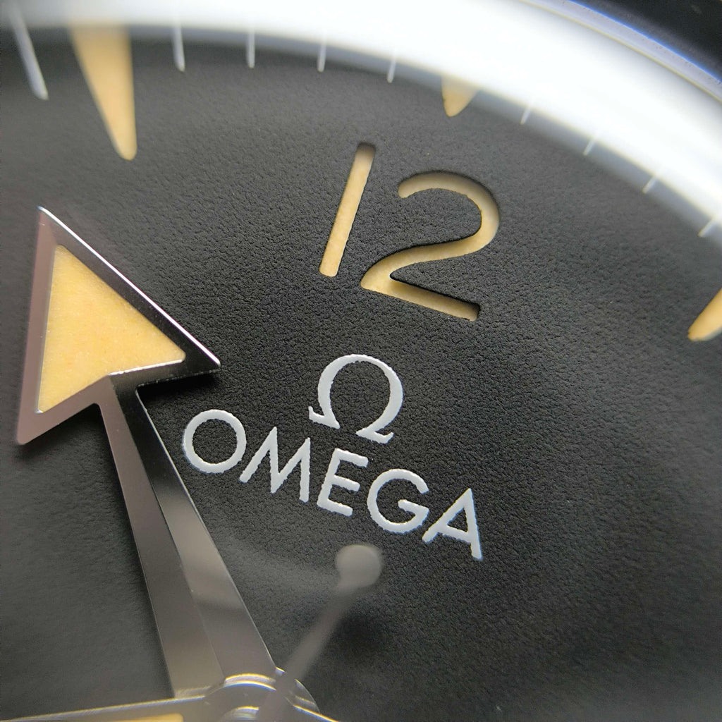 Omega Seahorse Series 41 234.30.41.21.01.001
