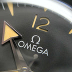 Omega Seahorse Series 41 234.30.41.21.01.001