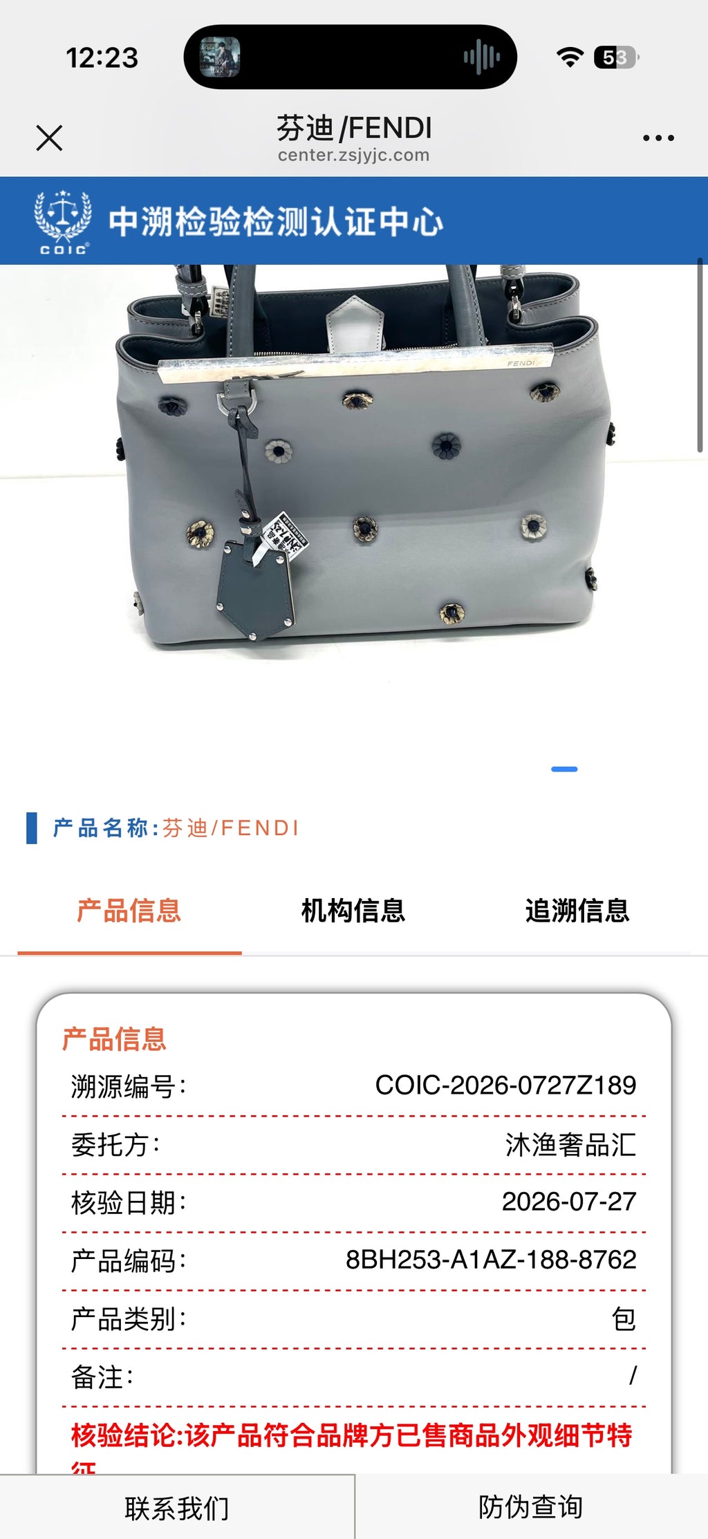 Fendi Blue Tote