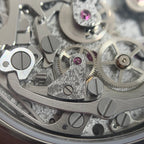 Omega Professional Series 44.25 millimeters 31092445006001