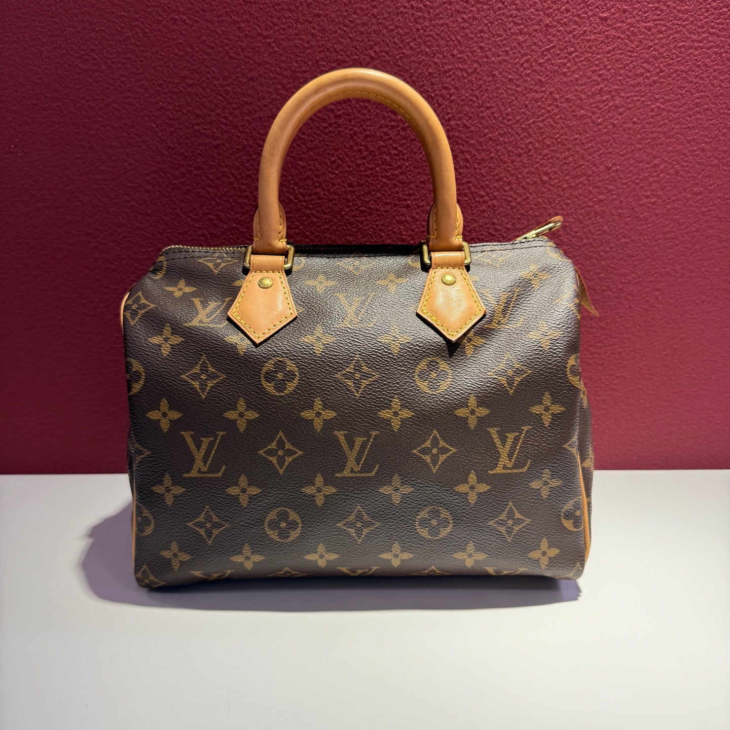 Louis Vuitton Speedy 25 25.0x 19.0x 15.0 cm M41109