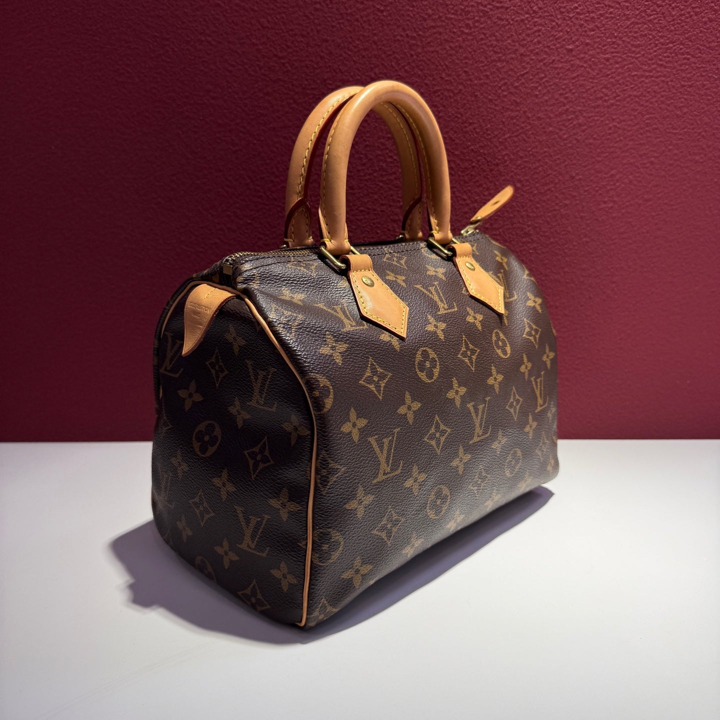 Louis Vuitton Speedy 25 25.0x 19.0x 15.0 cm M41109