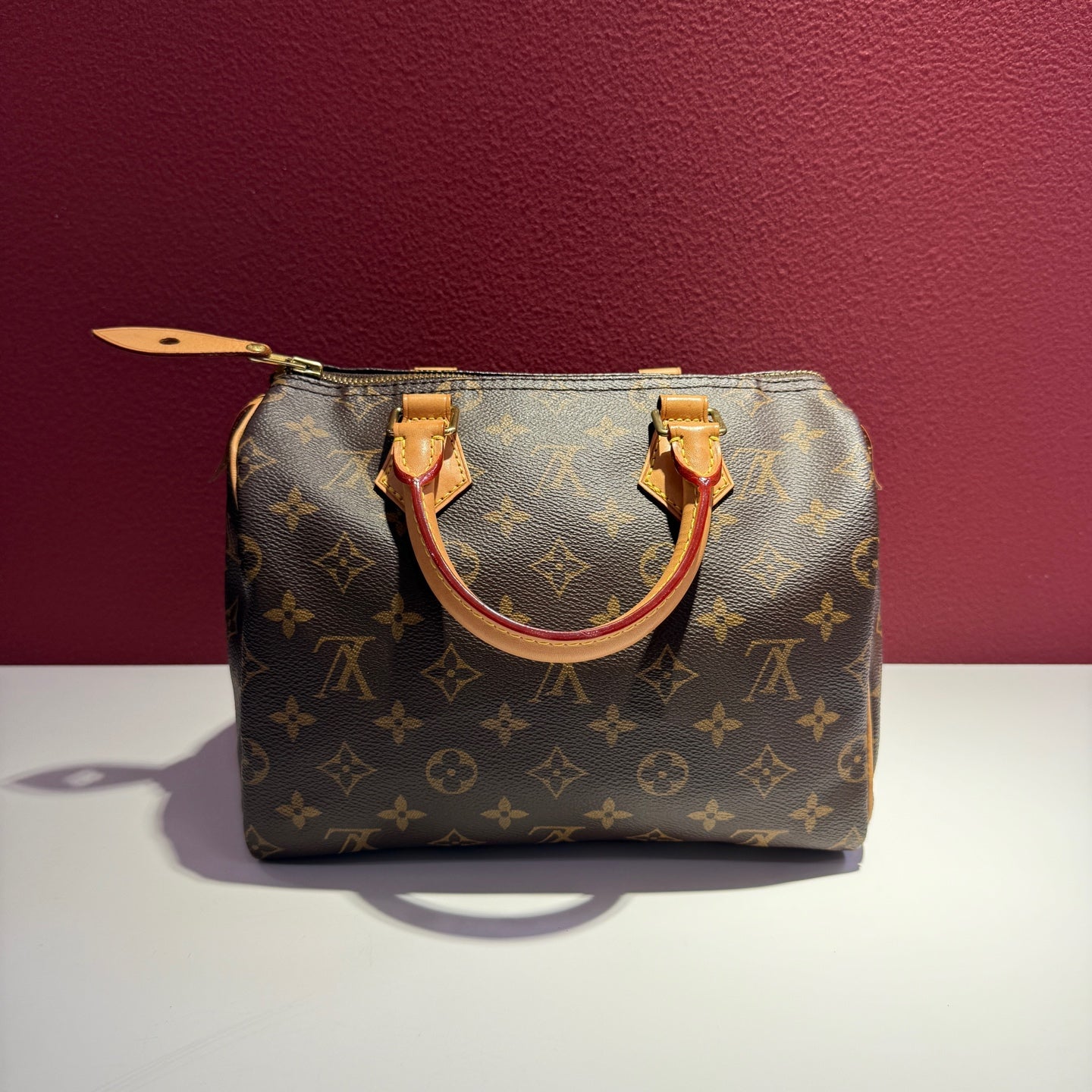 Louis Vuitton Speedy 25 25.0x 19.0x 15.0 cm M41109
