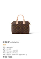 Louis Vuitton Speedy 25 25.0x 19.0x 15.0 cm M41109