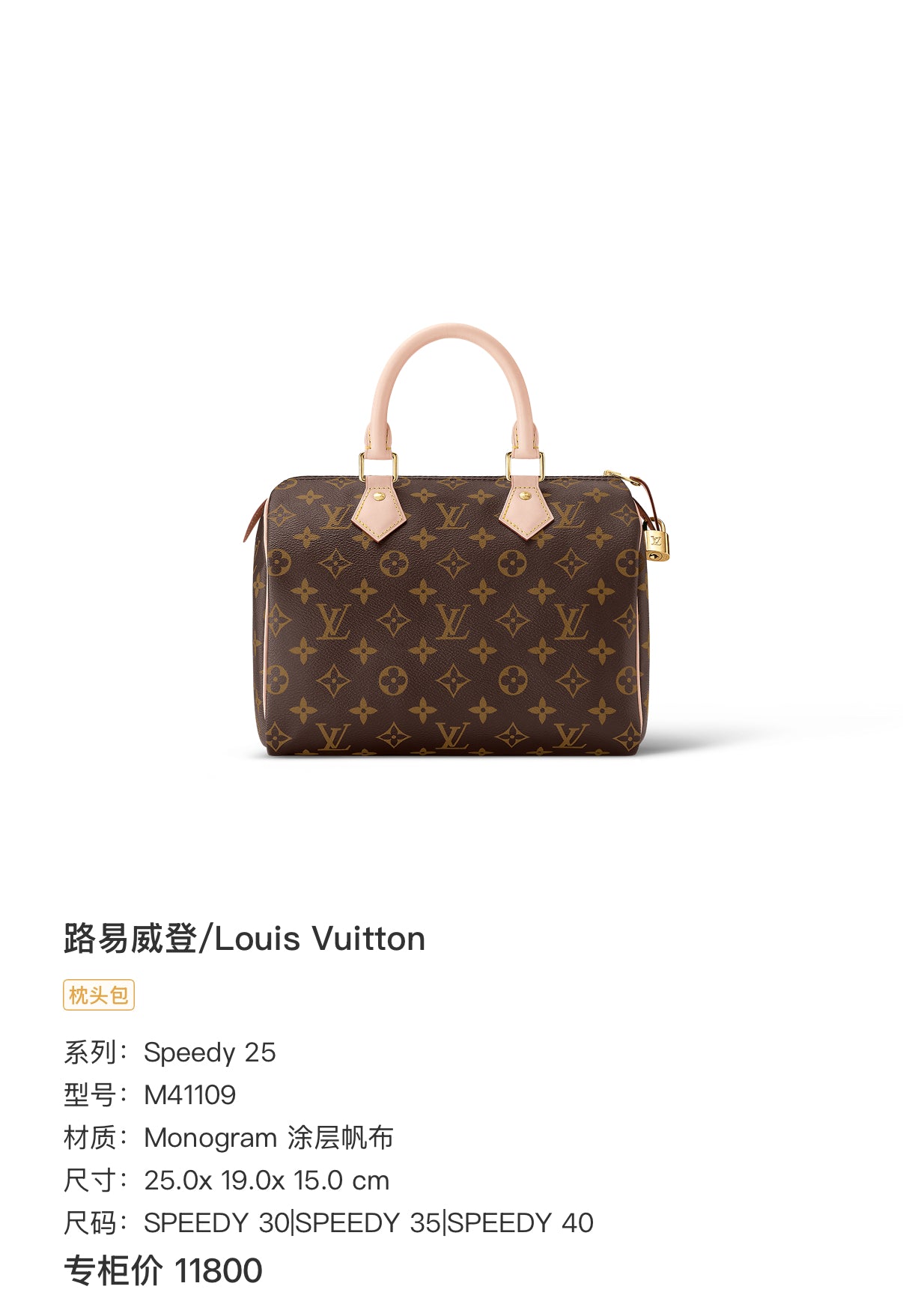 Louis Vuitton Speedy 25 25.0x 19.0x 15.0 cm M41109
