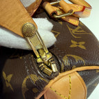 Louis Vuitton Speedy 25 25.0x 19.0x 15.0 cm M41109