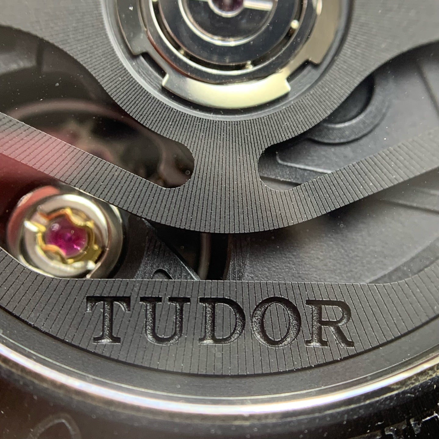 Tudor Bìwān Ceramic Type 41 millimeters m79210cnu-0001