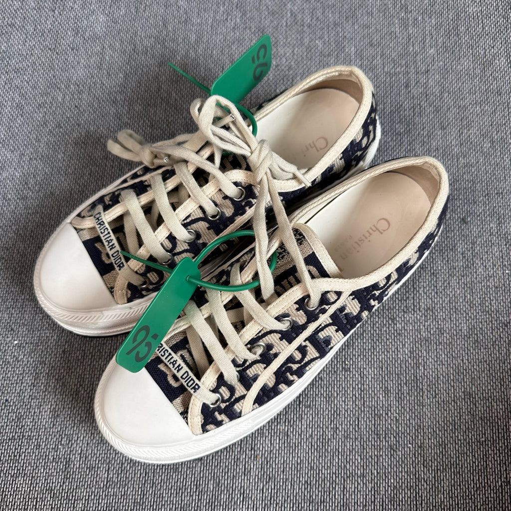 Dior Skate shoes