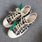 Dior Skate shoes