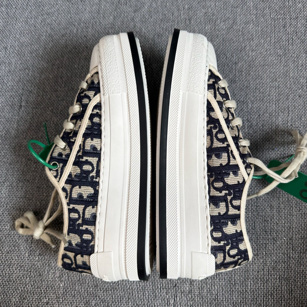 Dior Skate shoes