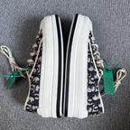Dior Skate shoes