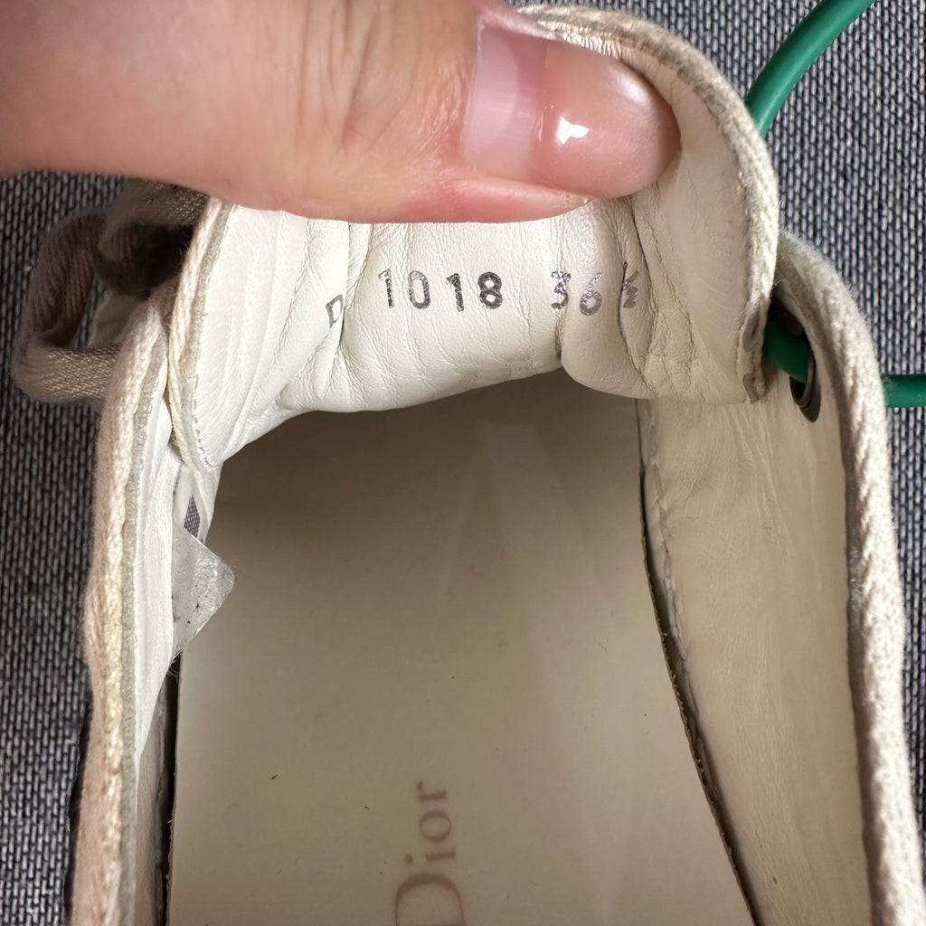 Dior Skate shoes