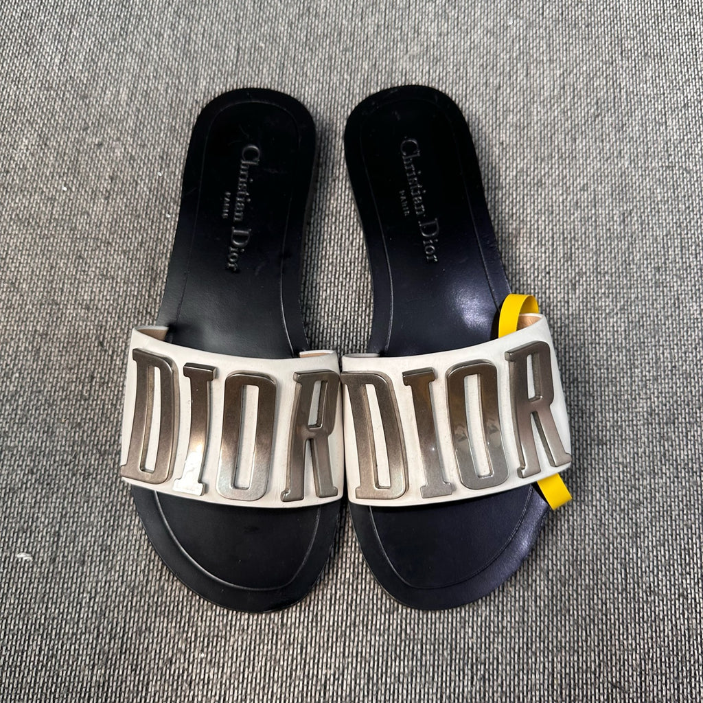 Dior Silver