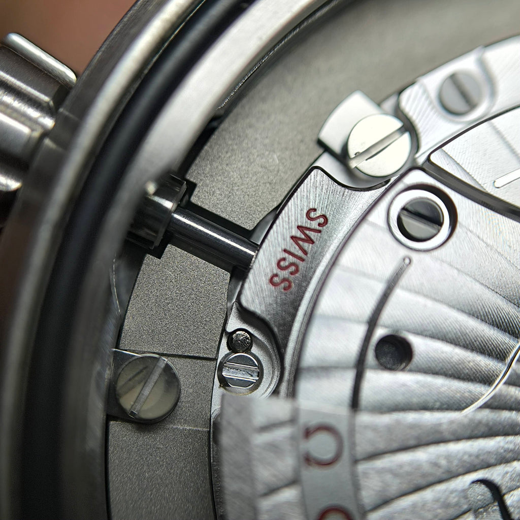Omega Seahorse Series 40 220.12.40.20.03.001