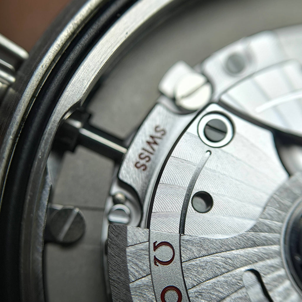 Omega Seahorse Series 40 220.12.40.20.03.001