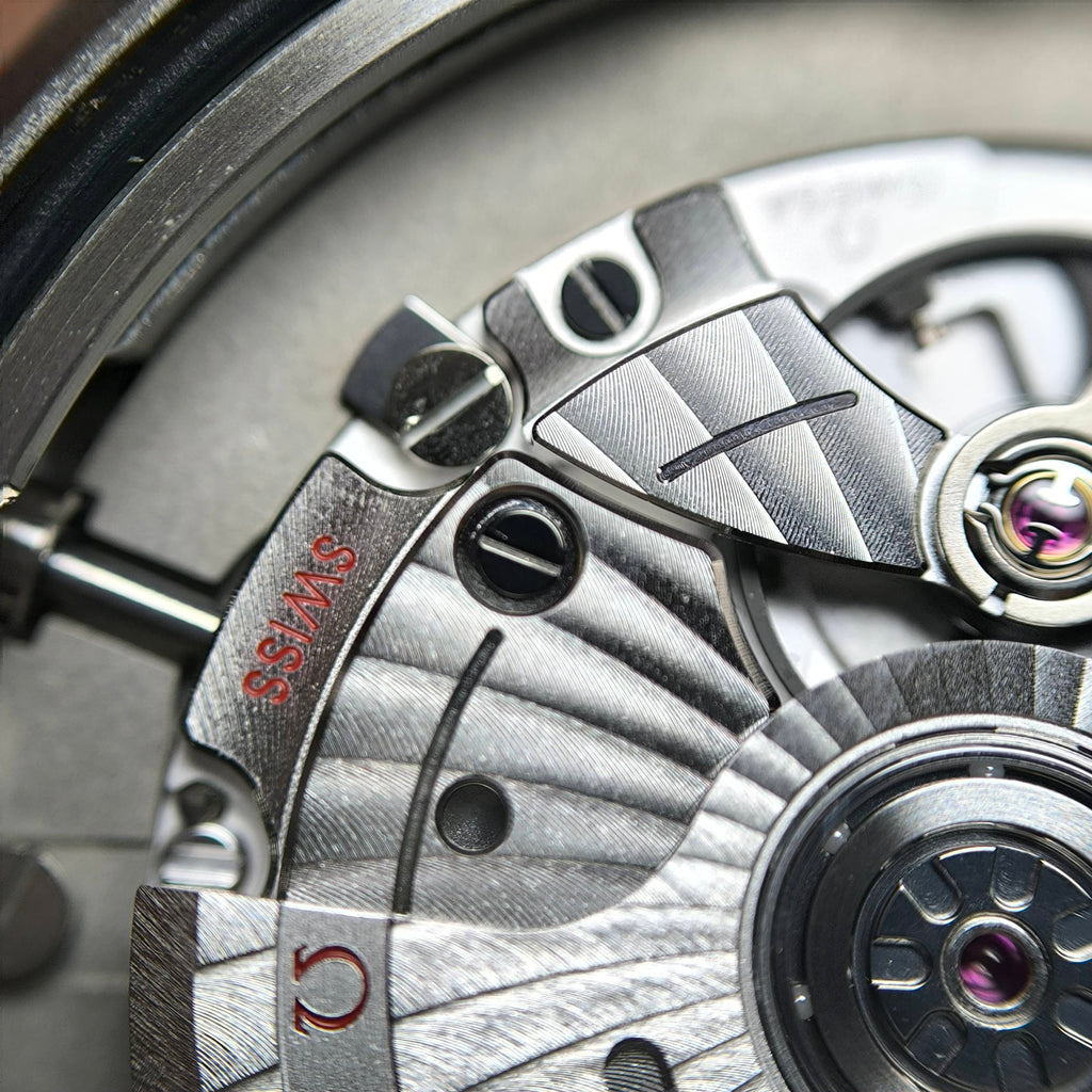 Omega Seahorse Series 40 220.12.40.20.03.001