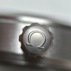 Omega Seahorse Series 40 220.12.40.20.03.001