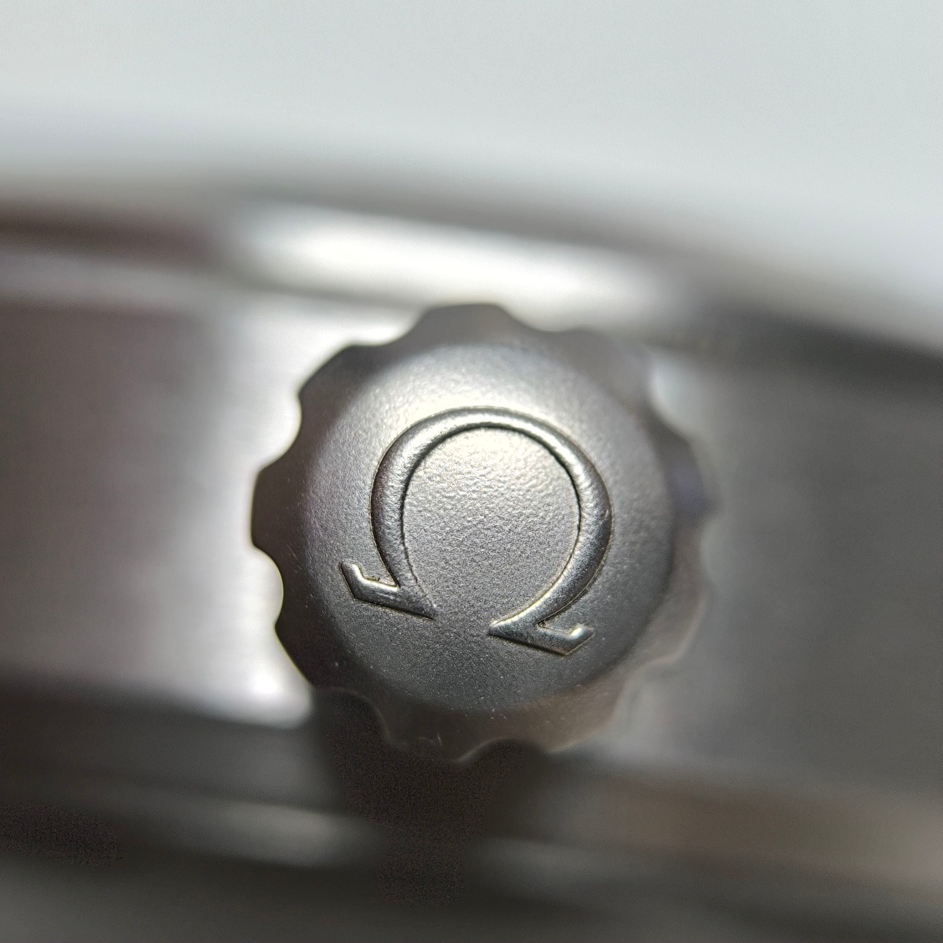 Omega Seahorse Series 40 220.12.40.20.03.001
