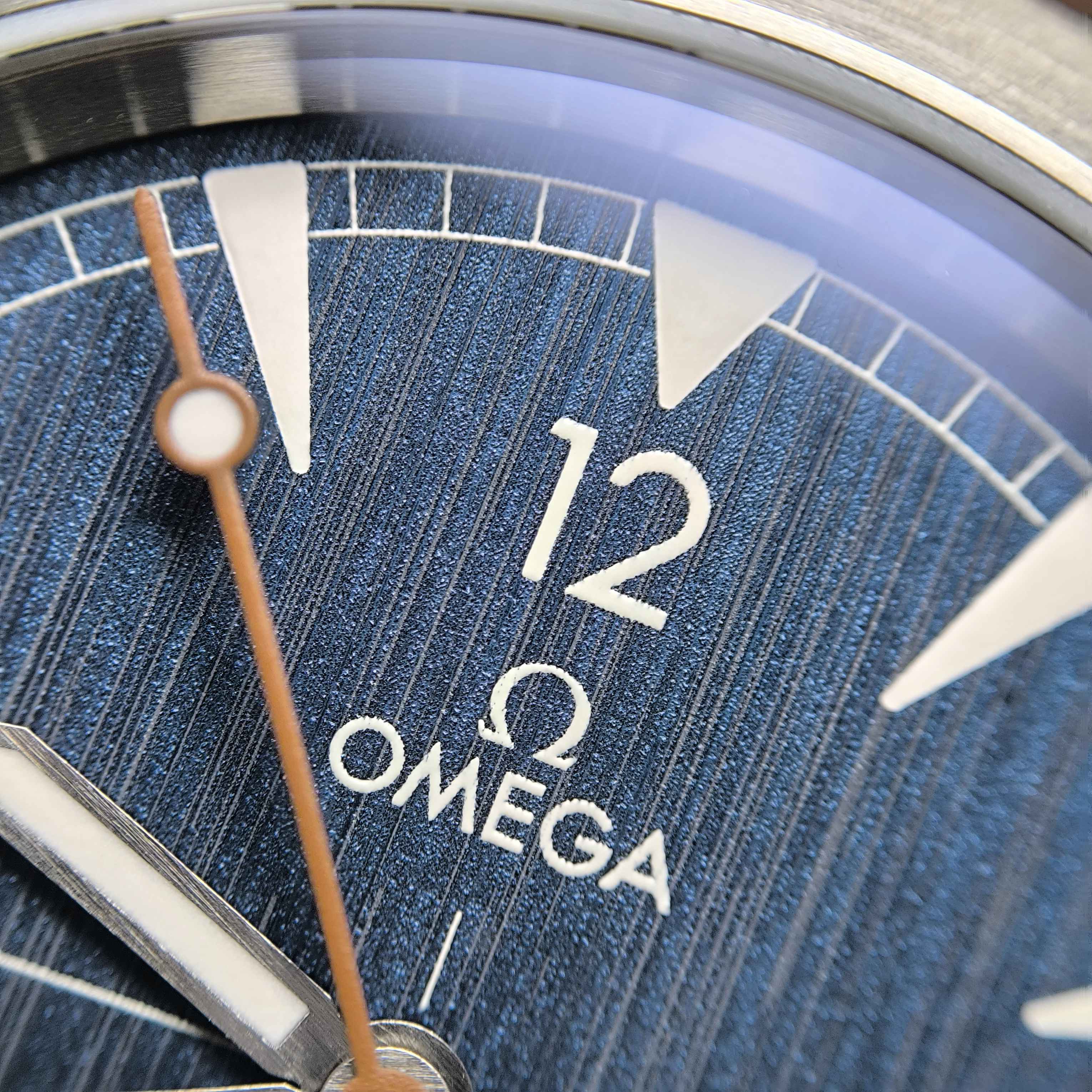 Omega Seahorse Series 40 220.12.40.20.03.001