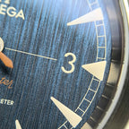 Omega Seahorse Series 40 220.12.40.20.03.001