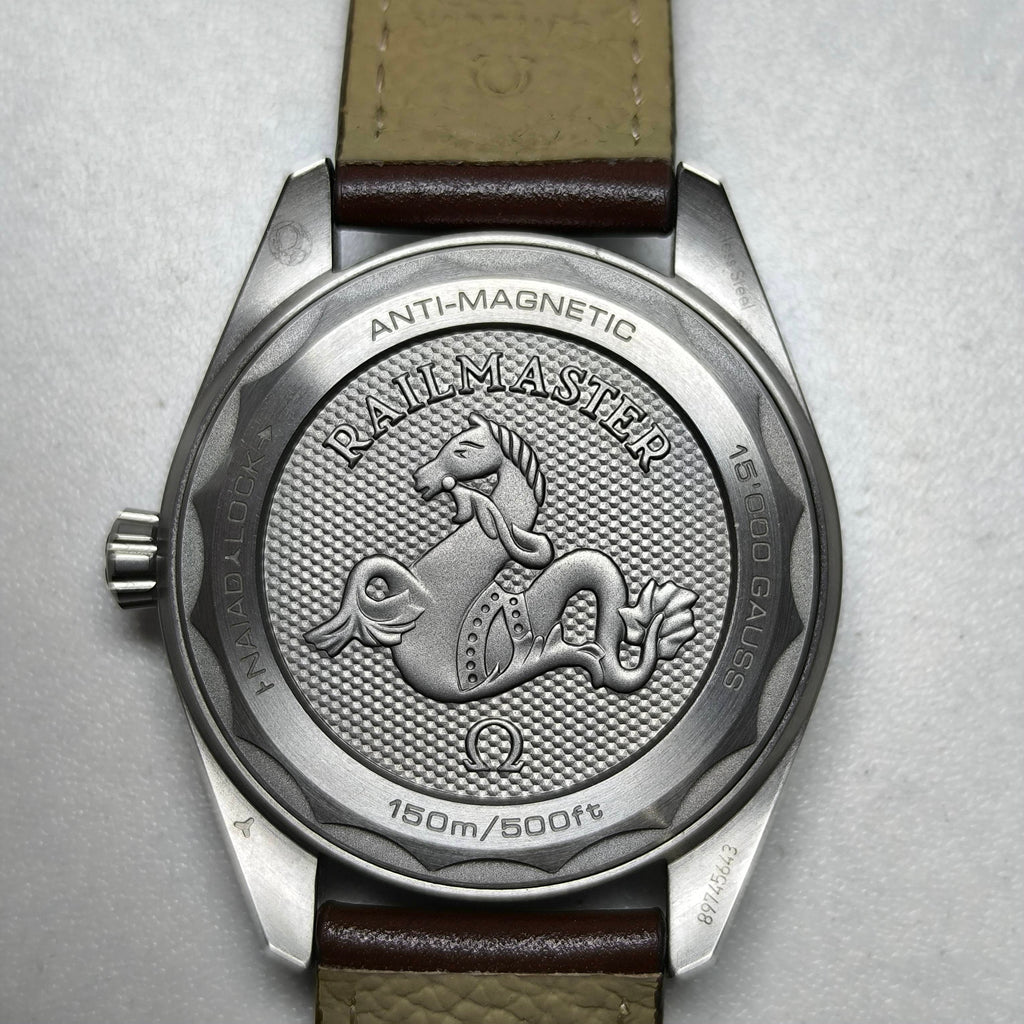 Omega Seahorse Series 40 220.12.40.20.03.001