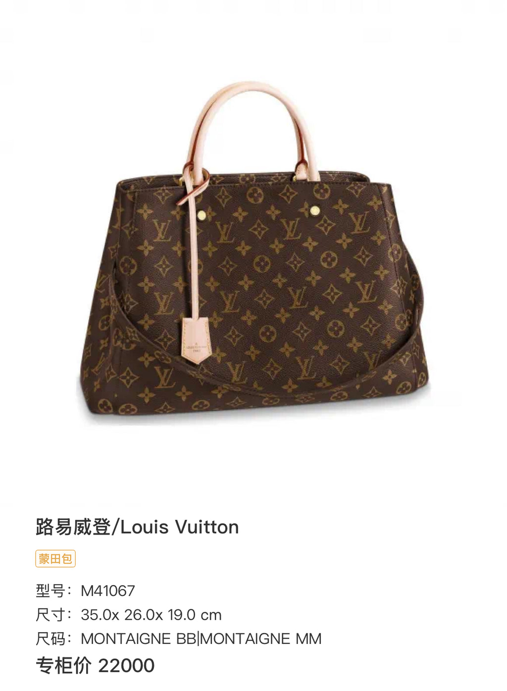 Louis Vuitton Tote 35.0x 26.0x 19.0 cm M41067
