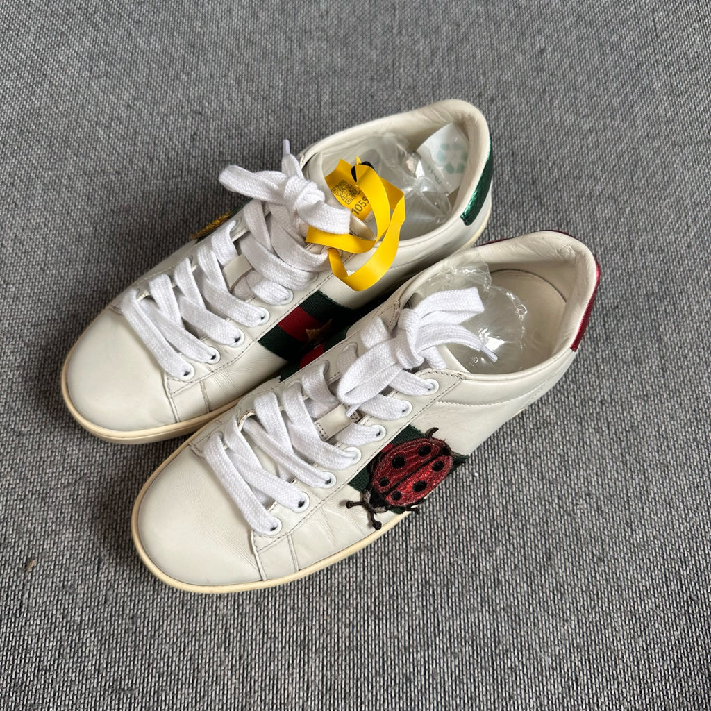 Gucci Skate shoes