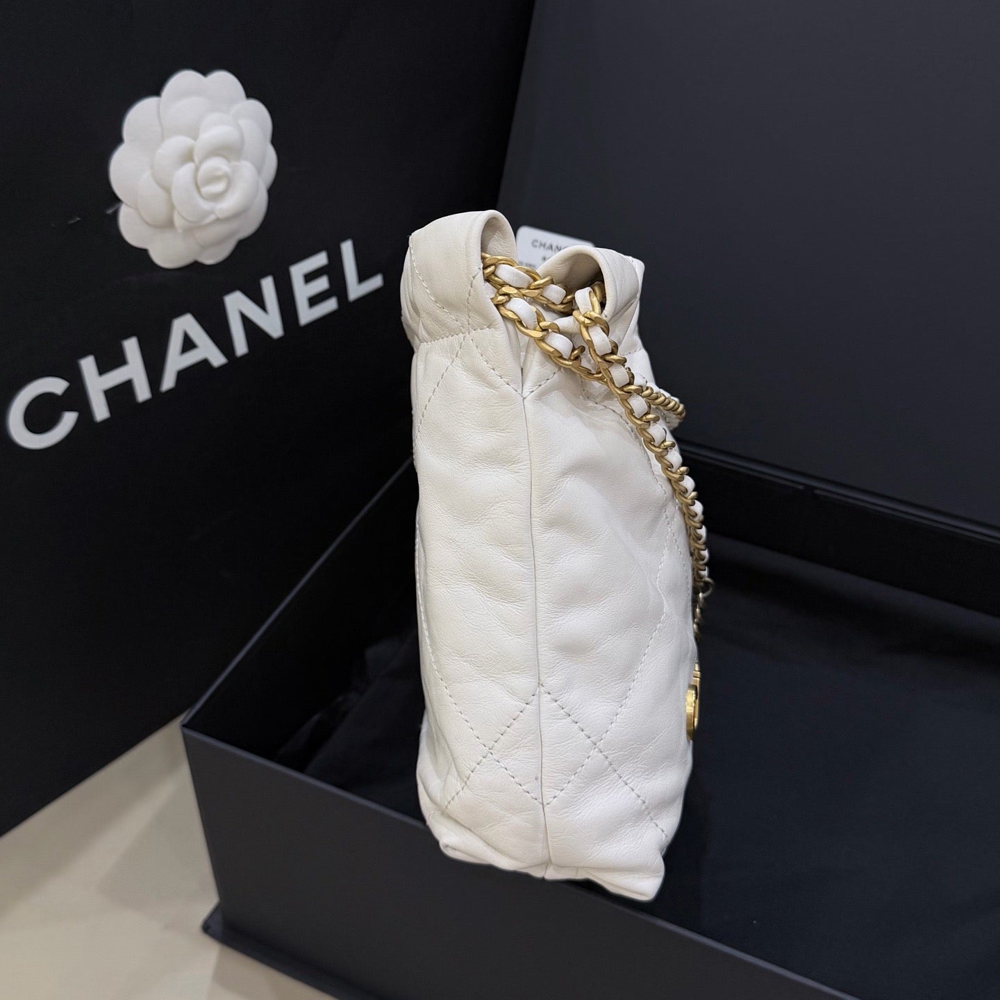 Chanel Bucket bag 20×6×19 AS3980-B09859-10601