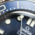Omega Seahorse Series 42 210.30.42.20.03.002