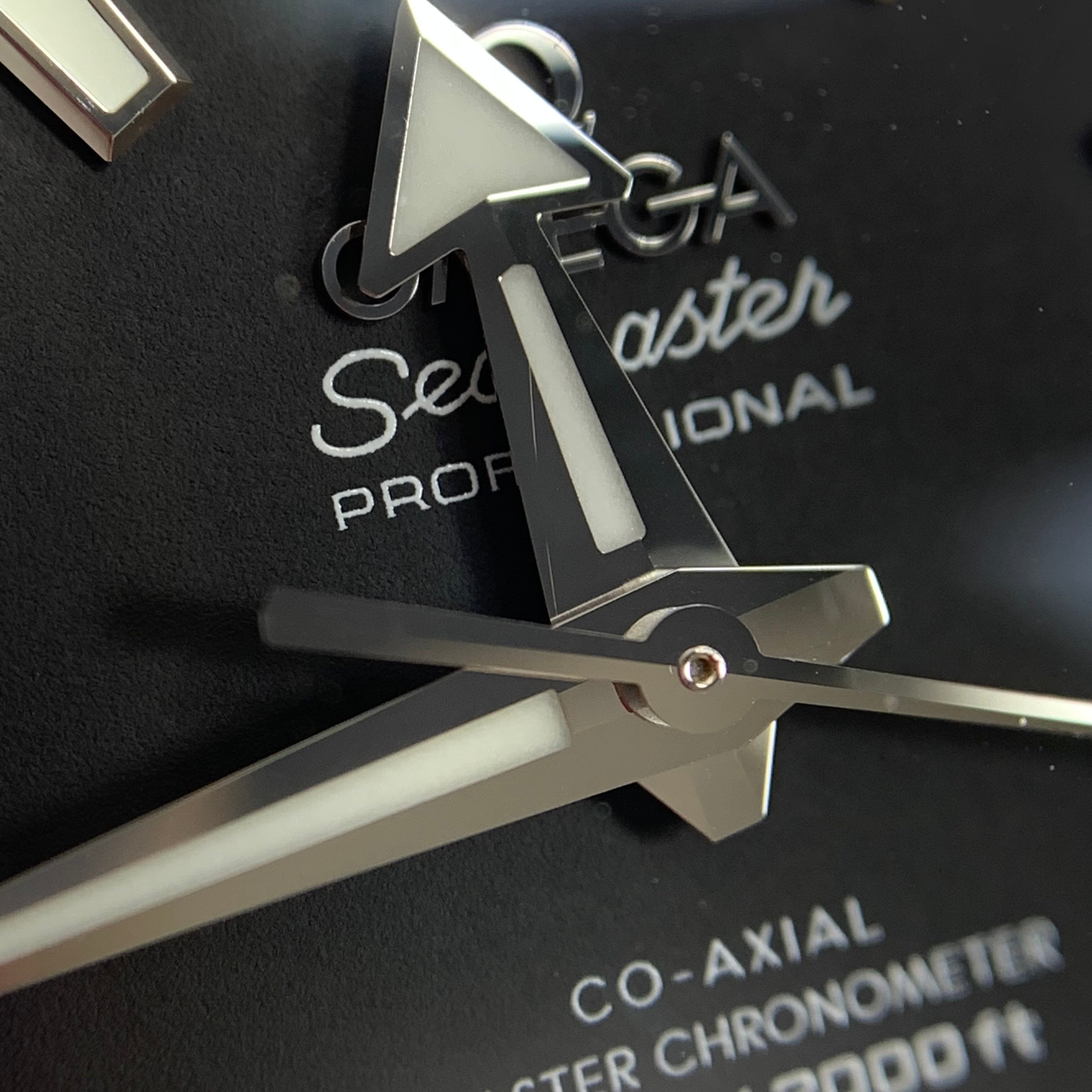 Omega Seahorse Series 42 millimeters 21732422101003