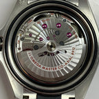 Omega Seahorse Series 42 millimeters 21732422101003