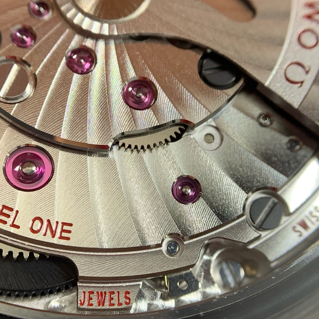 Omega Seahorse Series 42 millimeters 21732422101003