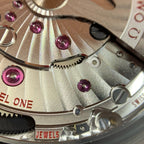 Omega Seahorse Series 42 millimeters 21732422101003