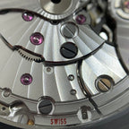 Omega Seahorse Series 42 millimeters 21732422101003