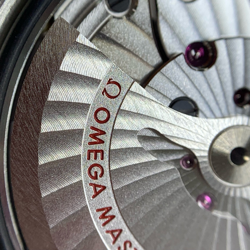 Omega Seahorse Series 42 millimeters 21732422101003