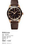 Omega Seahorse Series 41 234.92.41.21.10.001