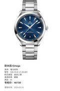 Omega Seahorse Series 41 220.10.41.21.03.001