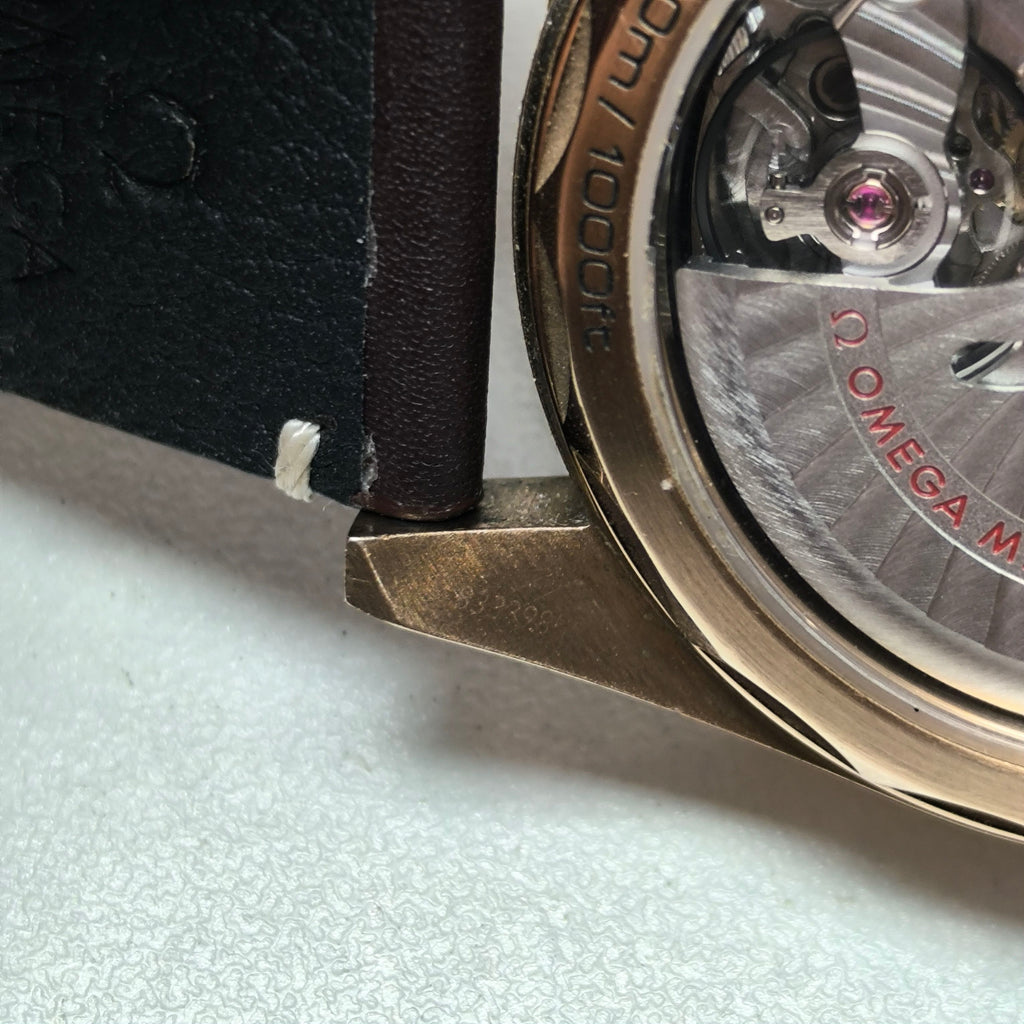 Omega Seahorse Series 41 234.92.41.21.10.001