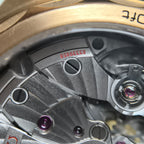 Omega Seahorse Series 41 234.92.41.21.10.001
