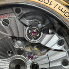 Omega Seahorse Series 41 234.92.41.21.10.001