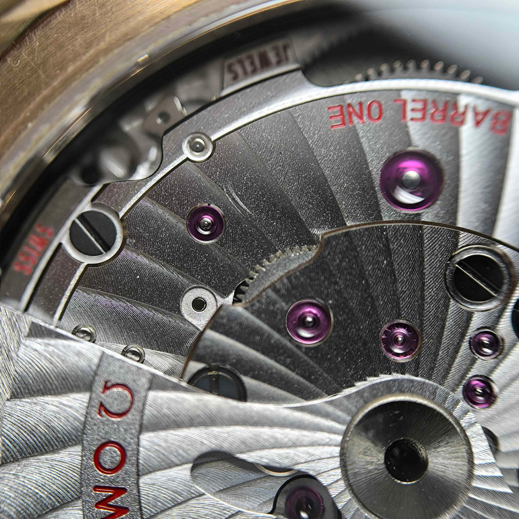 Omega Seahorse Series 41 234.92.41.21.10.001
