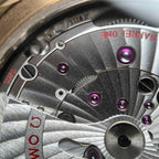 Omega Seahorse Series 41 234.92.41.21.10.001