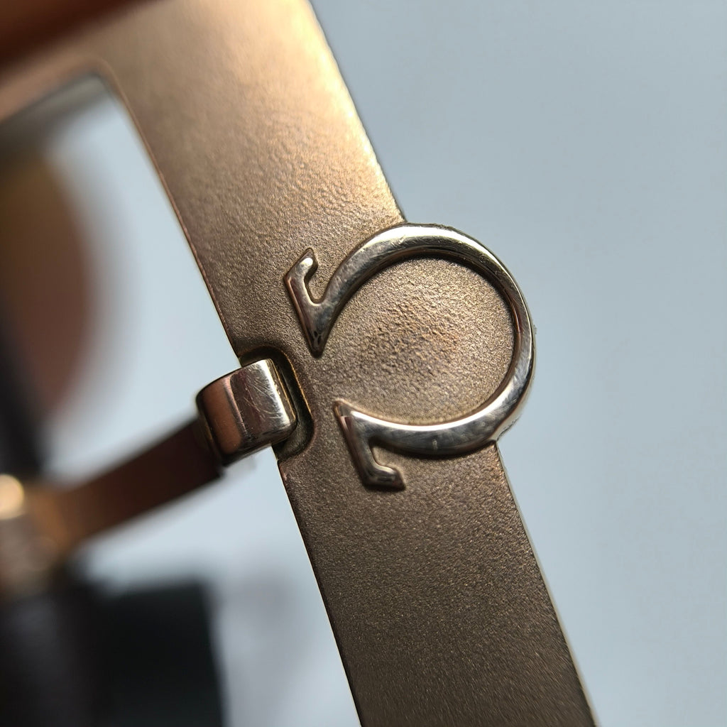 Omega Seahorse Series 41 234.92.41.21.10.001