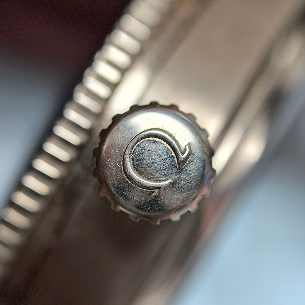 Omega Seahorse Series 41 234.92.41.21.10.001